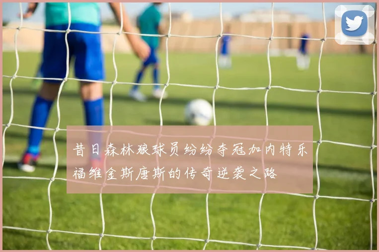 昔日森林狼球员纷纷夺冠加内特乐福维金斯唐斯的传奇逆袭之路