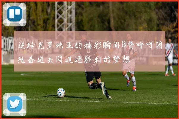 逆转克罗地亚的精彩瞬间B费呼吁团结奋进共同追逐胜利的梦想